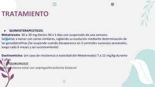 TRATAMIENTO
● QUIMIOTERAPEUTICOS:
Metotrexato: 20 a 30 mg diarios IM x 5 días con suspensión de una semana.
Se vuelve a tomar con series similares, vigilando su evolución mediante determinación de
las gonadotrofinas (Se suspende cuando desaparezca en 3 controles sucesivos semanales,
luego cada 6 meses y asi sucesivamente)
Dactinomicina: (en caso de resistencia o toxicidad del Metotrexato) 7 a 12 mg/kg durante
5 años
● QUIRURGICO
Histerectomia total con salpingooforectomia bilateral
 