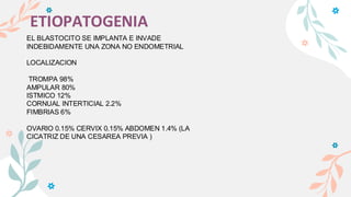 ETIOPATOGENIA
EL BLASTOCITO SE IMPLANTA E INVADE
INDEBIDAMENTE UNA ZONA NO ENDOMETRIAL
LOCALIZACION
TROMPA 98%
AMPULAR 80%
ISTMICO 12%
CORNUAL INTERTICIAL 2.2%
FIMBRIAS 6%
OVARIO 0.15% CERVIX 0.15% ABDOMEN 1.4% (LA
CICATRIZ DE UNA CESAREA PREVIA )
 
