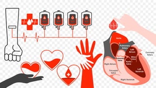 Right Atrium
Tricuspid
Valve
Right Ventricle
Left
Ventricle
Left
Atrium
Aortic
Valve
Mitral
Valve
Pulmonary
Valve
Pulmonary
Artery
Coronary
Artery
Aorta
 