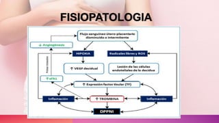 FISIOPATOLOGIA
 