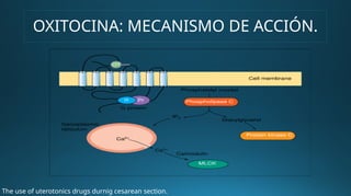OXITOCINA: MECANISMO DE ACCIÓN.
The use of uterotonics drugs durnig cesarean section.
 