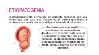 ETIOPATOGENIA
El desprendimiento prematuro de placenta comienza con una
hemorragia que pasa a la decidua basal, misma que muestra
dehiscencia y queda una capa delgada adherida al miometrio.
En consecuencia, el cuadro
comienza con un hematoma
decidual y se expande hasta separar
y comprimir la placenta vecina. Sin
embargo, se desconocen las causas
desencadenantes en muchos de los
casos, aunque algunos han recibido
atención.
 