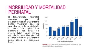 MORBILIDAD Y MORTALIDAD
PERINATAL
El fallecimiento perinatal
causado por el
desprendimiento placentario
puede valorarse por su
contribución a la mortalidad,
a pesar de que han
disminuido las cifras de
muerte fetal, sigue siendo
notable la contribución del
desprendimiento placentario
como causa de mortinato
fetal.
 