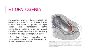ETIOPATOGENIA
Es posible que el desprendimiento
comience con la rotura de una arteria
espiral decidual al grado de que
cause un hematoma retro
placentario, mismo que se podrá
ampliar hasta romper más vasos y
extender la separación placentaria.
oEn las fases iniciales del
desprendimiento posiblemente no
haya síntomas clínicos.
 