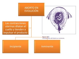 ABORTO EN
EVOLUCIÓN
Incipiente Inminente
Las contracciones
uterinas dilatan el
cuello y tienden a
expulsar el producto
 