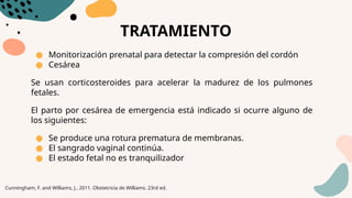 TRATAMIENTO
● Monitorización prenatal para detectar la compresión del cordón
● Cesárea
Se usan corticosteroides para acelerar la madurez de los pulmones
fetales.
El parto por cesárea de emergencia está indicado si ocurre alguno de
los siguientes:
● Se produce una rotura prematura de membranas.
● El sangrado vaginal continúa.
● El estado fetal no es tranquilizador
Cunningham, F. and Williams, J., 2011. Obstetricia de Williams. 23rd ed.
 