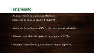 • Administración de líquidos cristaloides
(mantener la diuresis en .5 a 1 ml/kg/h)
• Vigilancia hemodinámica: PVC, Diuresis, gaseas arteriales
• Asistencia ventilatoria precoz si hay signos de SDRA
• Esquemas antibióticos que cubran un amplio espectro
 