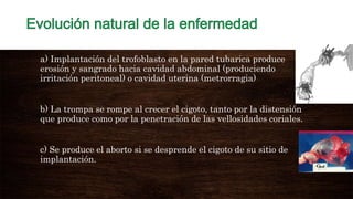a) Implantación del trofoblasto en la pared tubarica produce
erosión y sangrado hacia cavidad abdominal (produciendo
irritación peritoneal) o cavidad uterina (metrorragia)
b) La trompa se rompe al crecer el cigoto, tanto por la distensión
que produce como por la penetración de las vellosidades coriales.
c) Se produce el aborto si se desprende el cigoto de su sitio de
implantación.
 