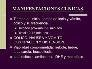 MANIFESTACIONES CLNICAS.
 Tiempo de inicio, tiempo de incio y vómito,
  cólico y su frecuencia.
     Delgado proximal 3-5 minutos
     Distal 10-15 minutos
 COLICO, NAUSEA Y VOMITO,
  OBSTIPACION Y DISTENSION.
 Viabilidad comprometida: rrebote, fiebre,
  taquicardia, leucocitosis.
 Leucocitosis, amilasemia, DHE y metabóico
 