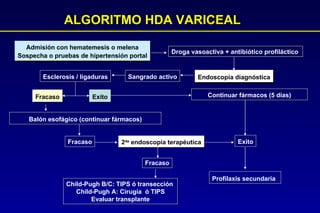 ALGORITMO HDA VARICEAL Admisión con hematemesis o melena Sospecha o pruebas de hipertensión portal Endoscopía diagnóstica Droga vasoactiva + antibiótico profiláctico  Sangrado activo Esclerosis / ligaduras Fracaso Balón esofágico (continuar fármacos) Fracaso 2 da  endoscopía terapéutica Continuar fármacos (5 días) Exito Profilaxis secundaria Fracaso Child-Pugh B/C: TIPS ó transección  Child-Pugh A: Cirugía  ó TIPS Evaluar transplante Exito 
