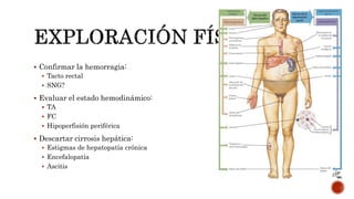  Confirmar la hemorragia:
 Tacto rectal
 SNG?
 Evaluar el estado hemodinámico:
 TA
 FC
 Hipoperfisión periférica
 Descartar cirrosis hepática:
 Estigmas de hepatopatía crónica
 Encefalopatía
 Ascitis
 