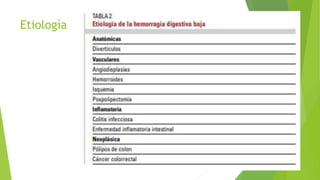 Etiología
 