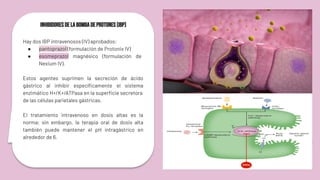 Inhibidores de la bomba de protones (IBP)
Hay dos IBP intravenosos (IV) aprobados:
● pantoprazol (formulación de Protonix IV)
● esomeprazol magnésico (formulación de
Nexium IV).
Estos agentes suprimen la secreción de ácido
gástrico al inhibir especíﬁcamente el sistema
enzimático H+/K+/ATPasa en la superﬁcie secretora
de las células parietales gástricas.
El tratamiento intravenoso en dosis altas es la
norma; sin embargo, la terapia oral de dosis alta
también puede mantener el pH intragástrico en
alrededor de 6.
 