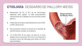 ETIOLOGÍA DESGARRO DE MALLORY-WEISS
● Representan del 8% al 15% de las hemorragias
digestivas altas agudas. La HDA ocasionalmente
masiva resulta de un desgarro en la mucosa del cardias
gástrico.
● Puede dejar de sangrar espontáneamente entre el 85%
y el 90 % de las veces.
● Esta laceración lineal de la mucosa es el resultado de
vómitos fuertes, arcadas, tos o esfuerzo.
● En el 80%-90% de los casos, se trata de un único
desgarro de la mucosa de 1,75 a 2,5 cm a lo largo de la
curvatura menor del estómago justo distal a la unión
gastroesofágica.
 