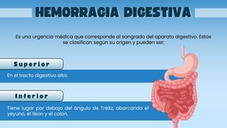 Hemorragia Digestiva Alta y Hemorragia digestiva baja | PDF