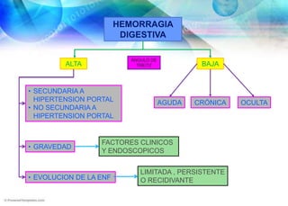 HEMORRAGIA DIGESTIVAÁNGULO DE TREITZALTABAJASECUNDARIA A HIPERTENSION PORTAL