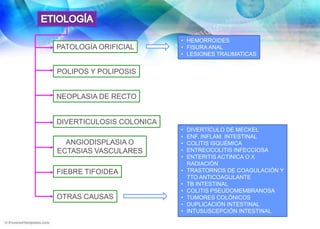 ETIOLOGÍAHEMORROIDES