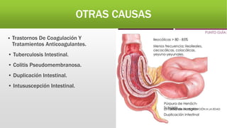 OTRAS CAUSAS
 Trastornos De Coagulación Y
Tratamientos Anticoagulantes.
• Tuberculosis Intestinal.
• Colitis Pseudomembranosa.
• Duplicación Intestinal.
• Intususcepción Intestinal.
 