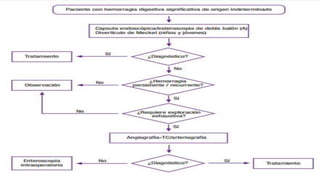 Hemorragia digestiva baja