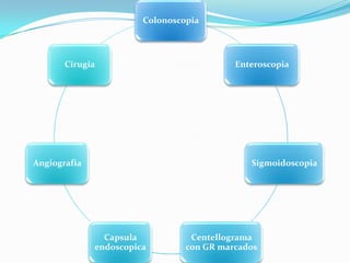 Colonoscopia




       Cirugia                             Enteroscopia




Angiografia                                   Sigmoidoscopia




                Capsula           Centellograma
              endoscopica        con GR marcados
 