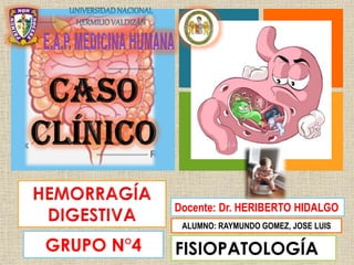 +
GRUPO N°4 FISIOPATOLOGÍA
Docente: Dr. HERIBERTO HIDALGO
ALUMNO: RAYMUNDO GOMEZ, JOSE LUIS
 