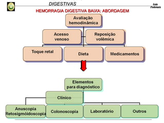 HEMORRAGIAS
DIGESTIVASDIGESTIVAS
HEMORRAGIA DIGESTIVA BAIXA: ABORDAGEMHEMORRAGIA DIGESTIVA BAIXA: ABORDAGEM
 