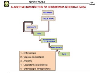 HEMORRAGIAS
DIGESTIVASDIGESTIVAS
ANAMNESE
TOQUE RETAL
ANUSCOPIA
SNG
RETOSIGMÓIDO/
COLONOSCOPIA
ANGIOGRAFÍA
Tc 99
ALGORITMO DIAGNÓSTICO NA HEMORRAGIA DIGESTIVA BAIXAALGORITMO DIAGNÓSTICO NA HEMORRAGIA DIGESTIVA BAIXA
1.- Enteroscopia
2.- Cápsula endoscópica
3.- AngioTC
4.- Laparotomía exploradora
5.- Enteroscopia intraoperatoria
1.- Enteroscopia
2.- Cápsula endoscópica
3.- AngioTC
4.- Laparotomía exploradora
5.- Enteroscopia intraoperatoria
 
