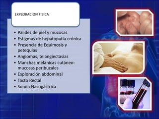 • Palidez de piel y mucosas
• Estigmas de hepatopatía crónica
• Presencia de Equimosis y
petequias
• Angiomas, telangiectasias
• Manchas melanicas cutáneo-
mucosas peribucales
• Exploración abdominal
• Tacto Rectal
• Sonda Nasogástrica
EXPLORACION FISICA
 