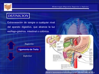 DEFINICION
Extravasación de sangre a cualquier nivel
del aparato digestivo, que alcanza la luz
esófago-gástrica, intestinal o colónica.
Ligamento de Treitz
Superior
Inferior
Morali A. Gastrointestinal hemorrhages in Adul. Rev Prat 1998; 48: 411-5
 