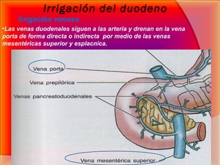 Irrigación del duodeno
Irrigación venosa
•Las venas duodenales siguen a las arteria y drenan en la vena
porta de forma dir...