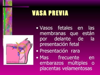 VASA PREVIA Vasos fetales en las membranas que están por delante de la presentación fetal Presentación  rara Mas frecuente en embarazos múltiples o placentas velamentosas 