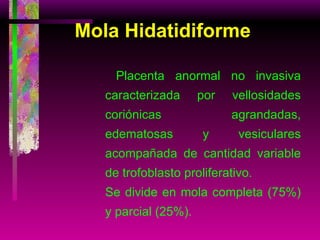 Mola Hidatidiforme Placenta   anormal no invasiva caracterizada por vellosidades coriónicas agrandadas, edematosas y vesiculares acompañada de cantidad variable de trofoblasto proliferativo. Se divide en mola completa (75%) y parcial (25%). 