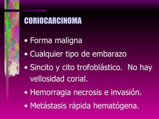 CORIOCARCINOMA Forma maligna Cualquier tipo de embarazo Sincito y cito trofoblástico.  No hay vellosidad corial. Hemorragia necrosis e invasión. Metástasis rápida hematógena. 