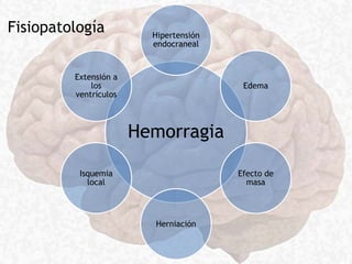 Fisiopatología
Hemorragia
Hipertensión
endocraneal
Edema
Efecto de
masa
Herniación
Isquemia
local
Extensión a
los
ventrículos
 