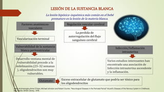 LESIÓN DE LA SUSTANCIA BLANCA
La lesión hipóxica–isquémica más común en el bebé
prematuro es la lesión de la materia blanca.
Varios estudios interesantes han
encontrado una asociación de
Infección intrauterina ascendente
y la inflamación.
Desarrollo-ventana mental de
vulnerabilidad precede a la
milelinazión.(23–32 semanas
), oligodendrocitos son muy
vulnerables.
Vascularización terminal
Factores anatómicos-
vasculares
Regulación vascular cerebral
Vulnerabilidad de la sustancia
blanca periventricular
Infección/Inflamación
intrauterina
Glutamato:
La perdida de
autorregulación del flujo
sanguíneo cerebral
Exceso extracelular de glutamato que podría ser tóxico para
los oligodendrocitos
Alexis Arzimanoglou,Anne O’Hare, Michael Johnston and Robert Ouvrier, “Neurological Diseases in the Perinatal Period” Aicardi’s Diseases of the Nervous System in Childhood,
4ta. Edición, British Library, 2018.
 