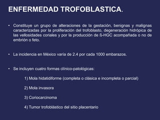ENFERMEDAD TROFOBLASTICA.
• Constituye un grupo de alteraciones de la gestación, benignas y malignas
caracterizadas por la proliferación del trofoblasto, degeneración hidrópica de
las vellosidades coriales y por la producción de ß-HGC acompañada o no de
embrión o feto.
• La incidencia en México varía de 2.4 por cada 1000 embarazos.
• Se incluyen cuatro formas clínico-patológicas:
1) Mola hidatidiforme (completa o clásica e incompleta o parcial)
2) Mola invasora
3) Coriocarcinoma
4) Tumor trofoblástico del sitio placentario
 