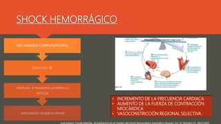 SHOCK HEMORRÁGICO
riñón el sistema renina-angiotensina-aldosterona
HIPOFISIS: AUMENTO DE ADH
ESTIMULACIÓN DE LA MEDULA SUP...