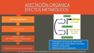 Dra. Leslian Janet Mejía-Gómez, Fisiopatología choque hemorrágico, Revista Mexicana de Anestesiología,2014
Forma prolongad...