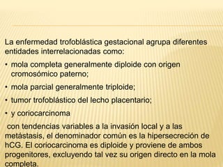 La enfermedad trofoblástica gestacional agrupa diferentes
entidades interrelacionadas como:
• mola completa generalmente diploide con origen
cromosómico paterno;
• mola parcial generalmente triploide;
• tumor trofoblástico del lecho placentario;
• y coriocarcinoma
con tendencias variables a la invasión local y a las
metástasis, el denominador común es la hipersecreción de
hCG. El coriocarcinoma es diploide y proviene de ambos
progenitores, excluyendo tal vez su origen directo en la mola
completa.
 