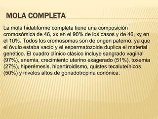 MOLA COMPLETA
La mola hidatiforme completa tiene una composición
cromosómica de 46, xx en el 90% de los casos y de 46, xy en
el 10%. Todos los cromosomas son de origen paterno, ya que
el óvulo estaba vacío y el espermatozoide duplica el material
genético. El cuadro clínico clásico incluye sangrado vaginal
(97%), anemia, crecimiento uterino exagerado (51%), toxemia
(27%), hiperémesis, hipertiroidismo, quistes tecaluteínicos
(50%) y niveles altos de gonadotropina coriónica.
 