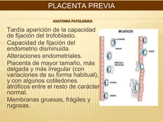 ANATOMIA PATOLOGICA
Tardía aparición de la capacidad
de fijación del trofoblasto.
Capacidad de fijación del
endometrio disminuida.
Alteraciones endometriales.
Placenta de mayor tamaño, más
delgada y más irregular (con
variaciones de su forma habitual),
y con algunos cotiledones
atróficos entre el resto de carácter
normal.
Membranas gruesas, frágiles y
rugosas.
PLACENTA PREVIA
 