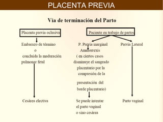 PLACENTA PREVIA
 