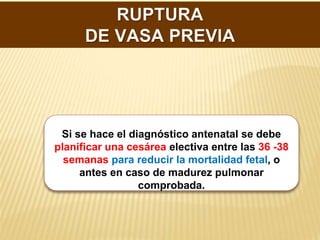 DIAGNÓSTICO.
Si se hace el diagnóstico antenatal se debe
planificar una cesárea electiva entre las 36 -38
semanas para reducir la mortalidad fetal, o
antes en caso de madurez pulmonar
comprobada.
 
