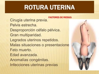 FACTORES DE RIESGO:
Cirugía uterina previa.
Pelvis estrecha.
Desproporción céfalo pélvica.
Gran multiparidad.
Legrados uterinos repetidos.
Malas situaciones o presentaciones.
Feto muerto.
Edad avanzada.
Anomalías congénitas.
Infecciones uterinas previas
ROTURA UTERINA
 