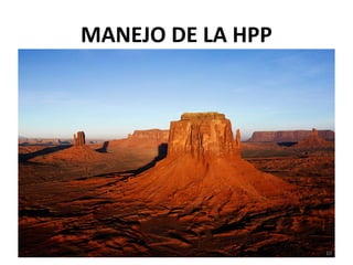 MANEJO DE LA HPP

10

 