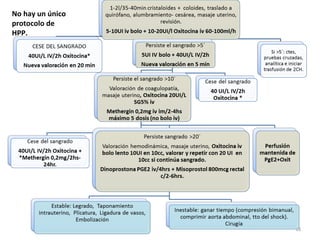 No hay un único
protocolo de
HPP.

18

 