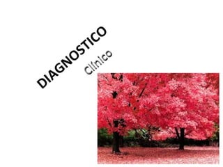 O
C

I
ST co
O íni
N Cl
G
IA
D

7

 