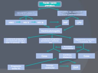 Ventriculomegalia IHP Lentamente progresiva con resolución parcial o total < 4 semanas  65% HMG  HIV II  HIV III Punciones evacuadoras LPV Lentamente progresiva persistente > semanas  30% Rápidamente progresiva < 4 semanas  5% Continúa dilatación Cese Cese Progresión tardía 5% Drenaje ventricular DVP 