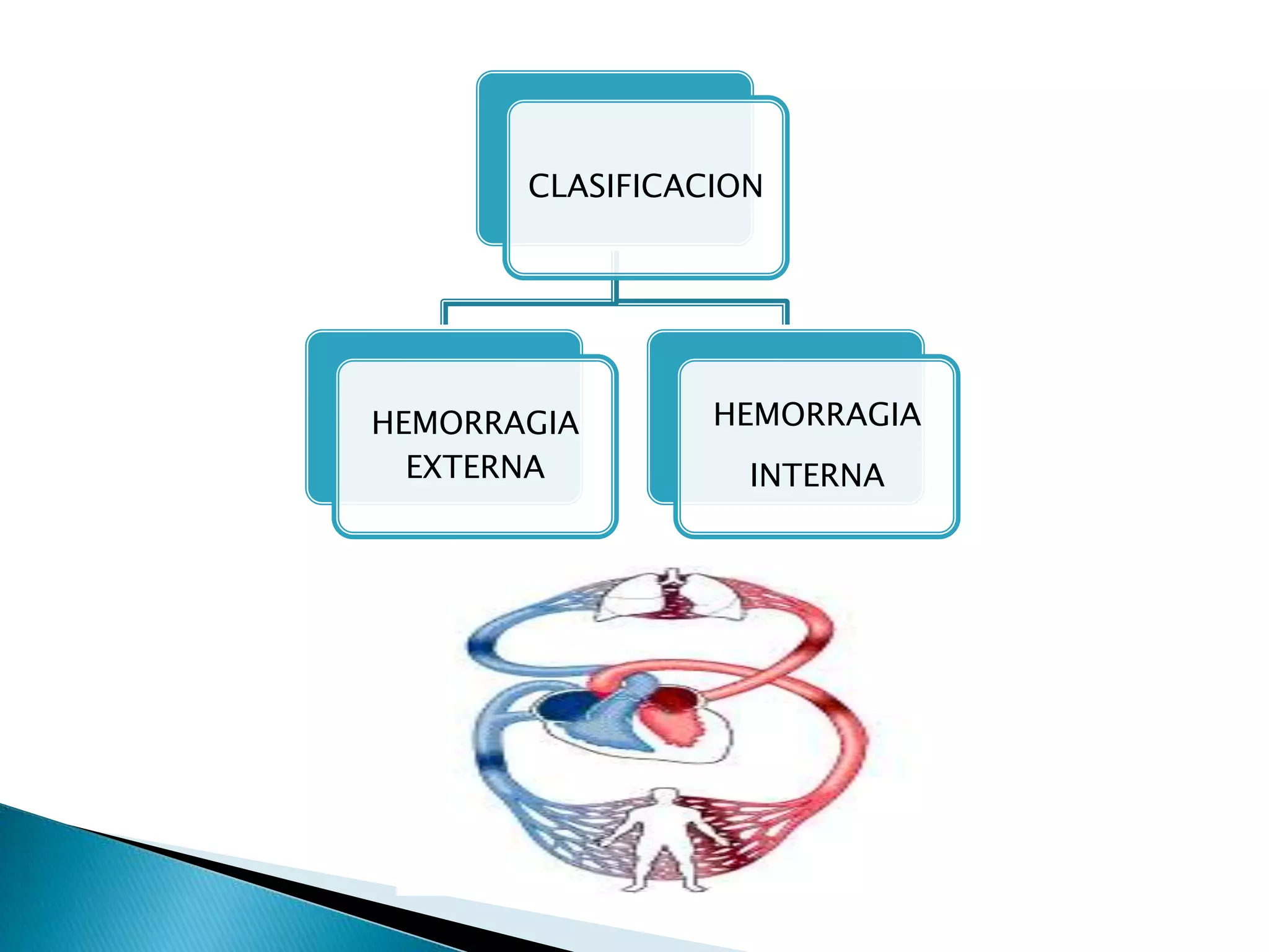 CLASIFICACION
HEMORRAGIA
EXTERNA
HEMORRAGIA
INTERNA
 