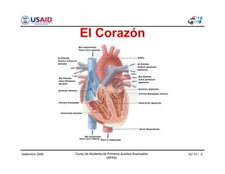 Curso de Asistente de Primeros Auxilios Avanzados
(APAA)
AV 10 - 5Curso de Asistente de Primeros Auxilios Avanzados
(APAA)
Setiembre 2006 Curso de Asistente de Primeros Auxilios Avanzados
(APAA)
El Corazón
 